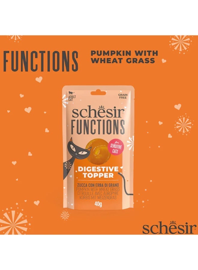 شيسر شيزر (Schesir) "فانكشنز" فاتح شهية لدعم الهضم للقطط الحساسة – اليقطين مع عشب القمح – مكمل غذائي سائل خالي من الحبوب – 40 جم (عبوة من 4 قطع) - Image 3